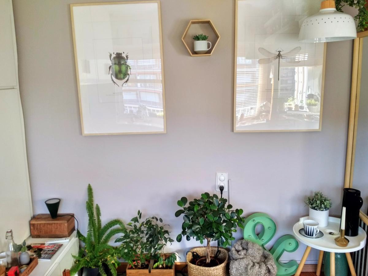 IMG_20180326_091835_HDR