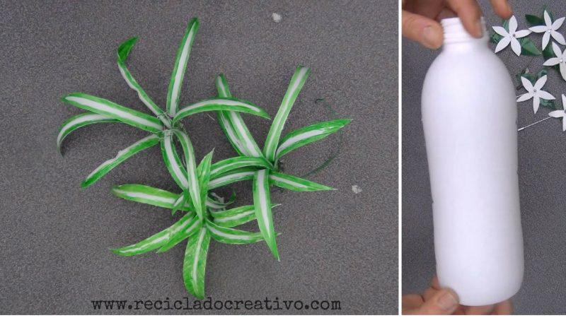 Plantas de cintas o malamadre con botellas de plástico Reciclado Creativo