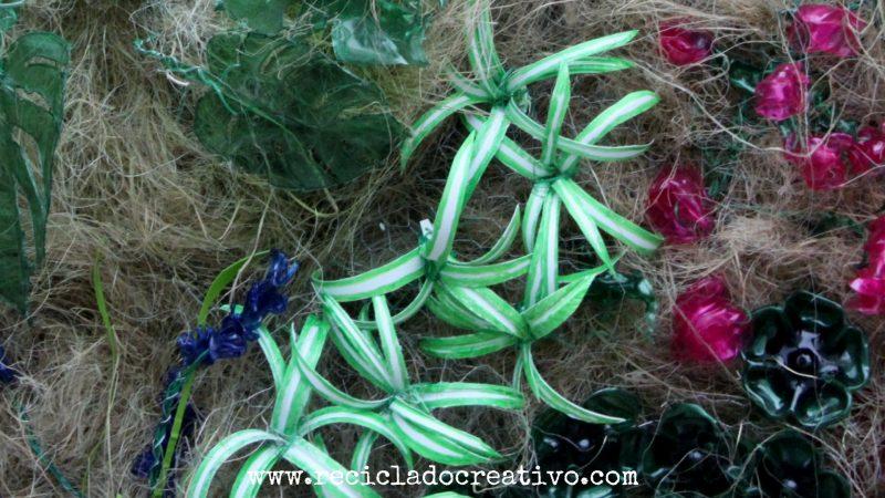 Plantas de cintas o malamadre con botellas de plástico Reciclado Creativo