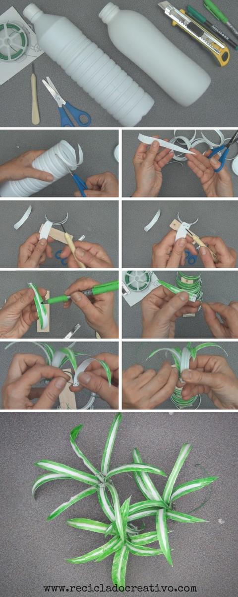 Paso a paso para realizar Plantas de cintas o malamadre con botellas de plástico Reciclado Creativo