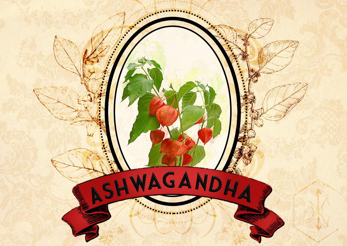 ¿Qué es la Ashwagandha?