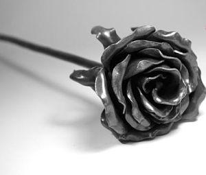 11º Aniversario Bodas de Acero