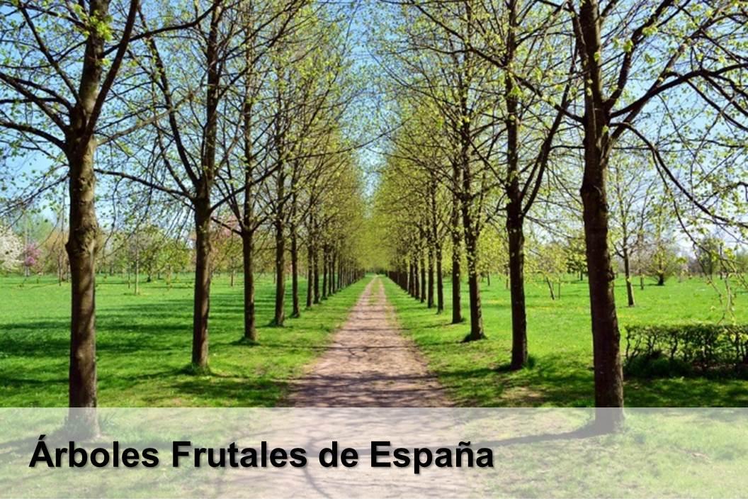arboles frutales de España