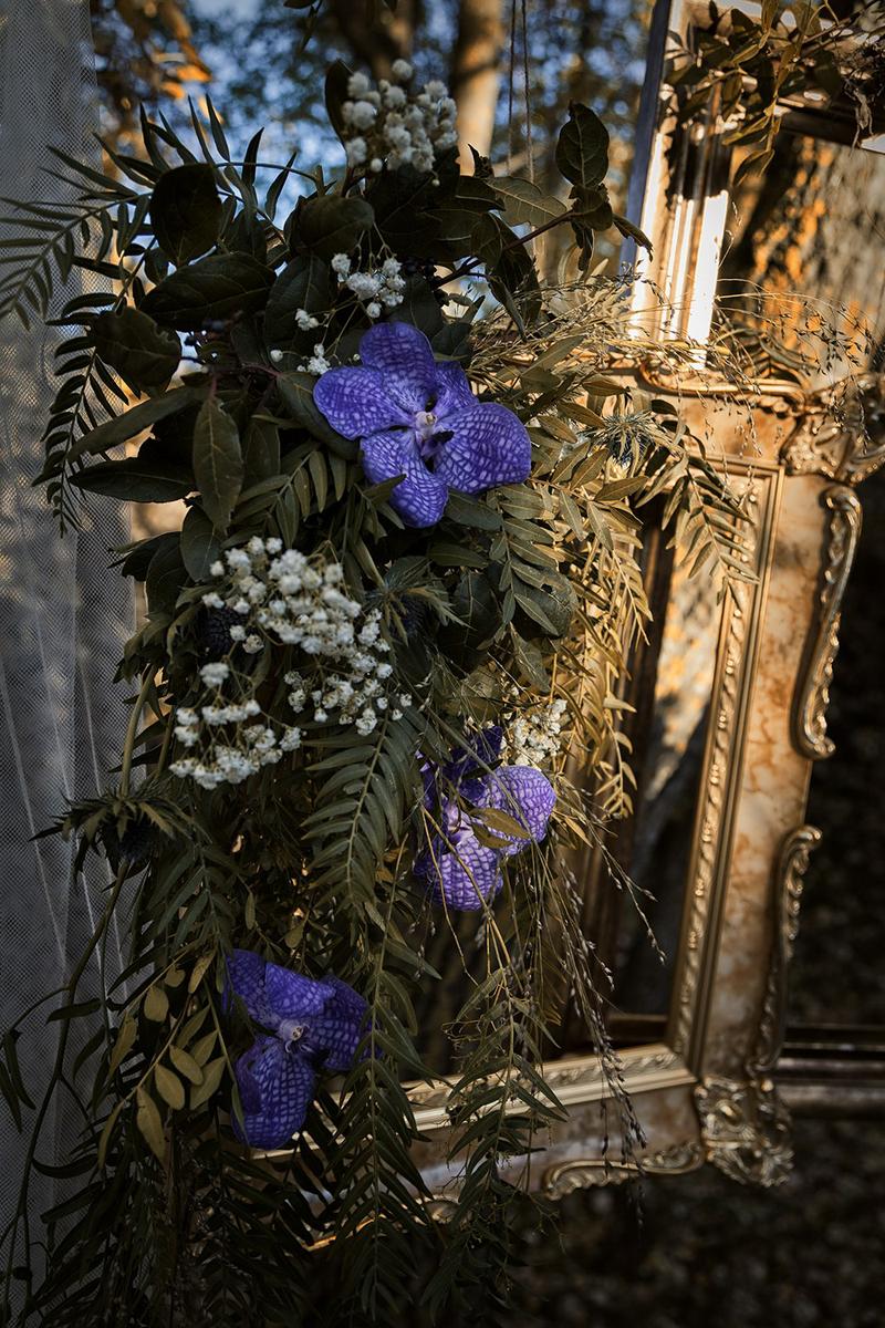 boda en el bosque editorial