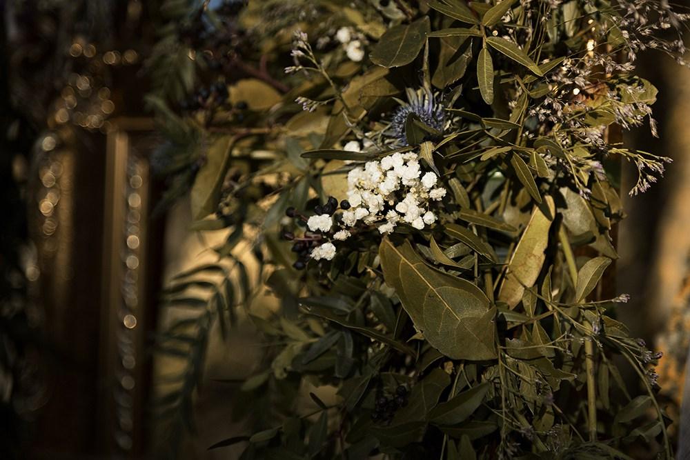 boda en el bosque editorial