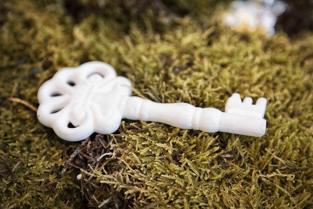 boda en el bosque editorial