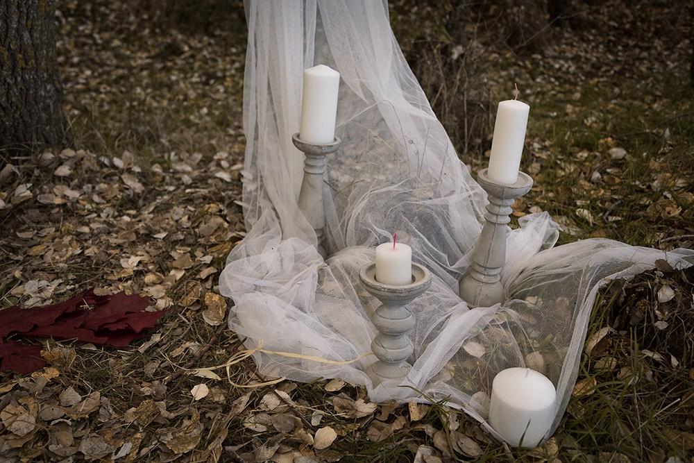 boda en el bosque editorial