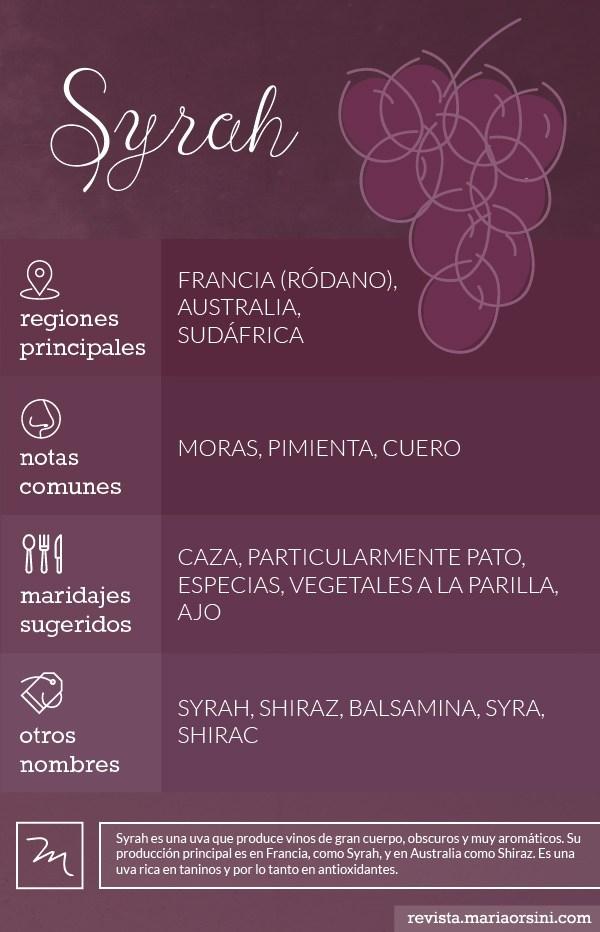 Syrah o Shiraz, todo sobre esta uva en Revista Maria Orsini