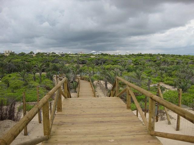 Dunas de Guardamar del Segura