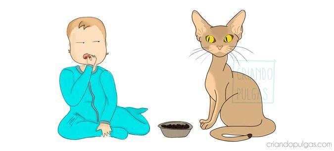 Problemas de convivencia entre gatos y bebés. El desenlace