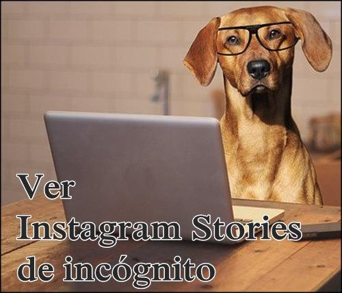 Ver stories en modo incognito
