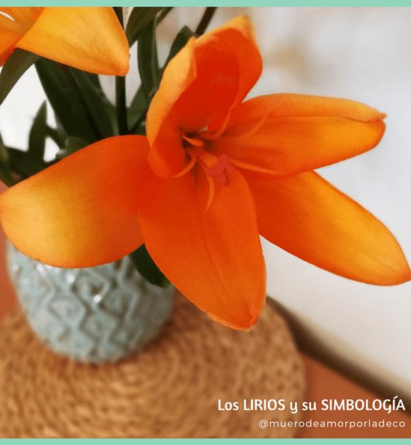 Flores frescas: Unos bonitos Lirios para decorar tu casa | Decoración