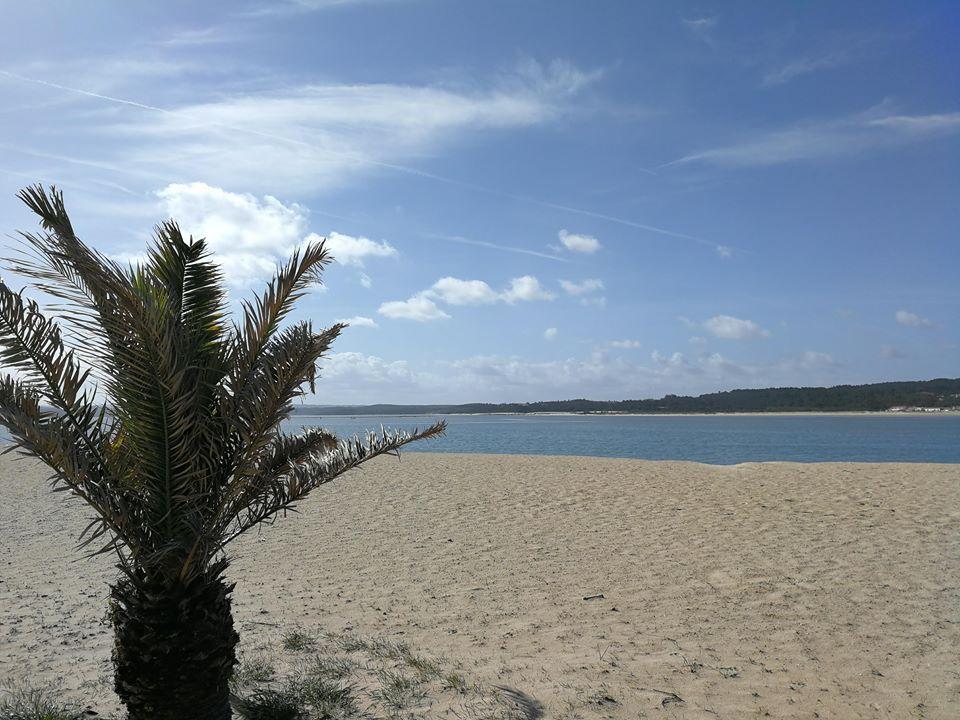 29792653_10216246894750690_6046347005305815040_n