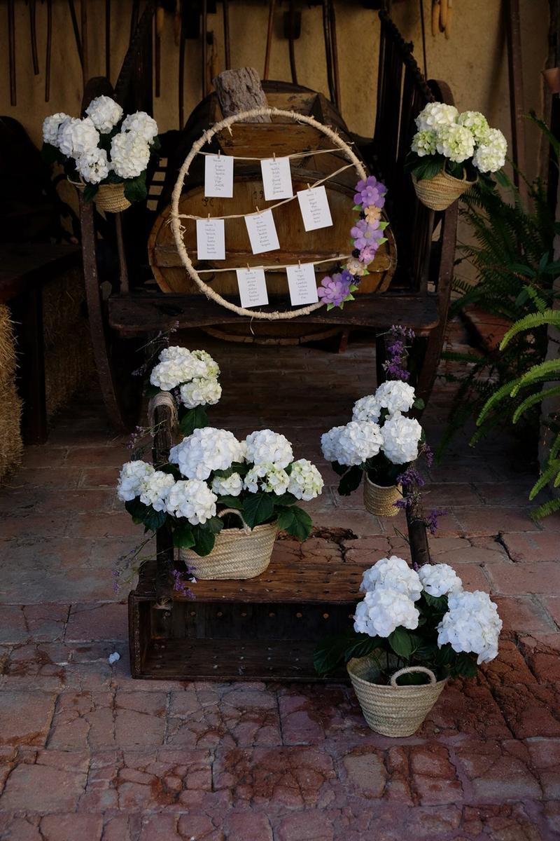 editorial boda violet