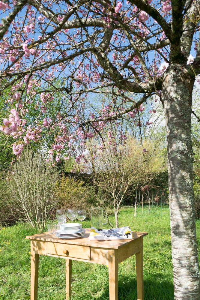 Cómo poner una mesa de verano bonita