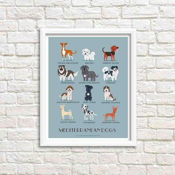 origen de los perros