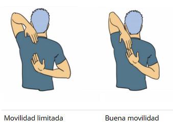 movilidad-articular-escapular-evaluacion