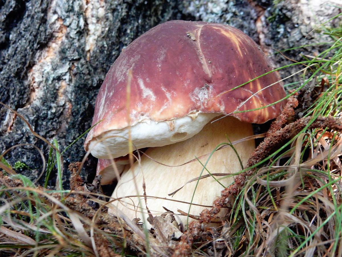 2357. 22135721_1979255222289314_5376941900939328452_o