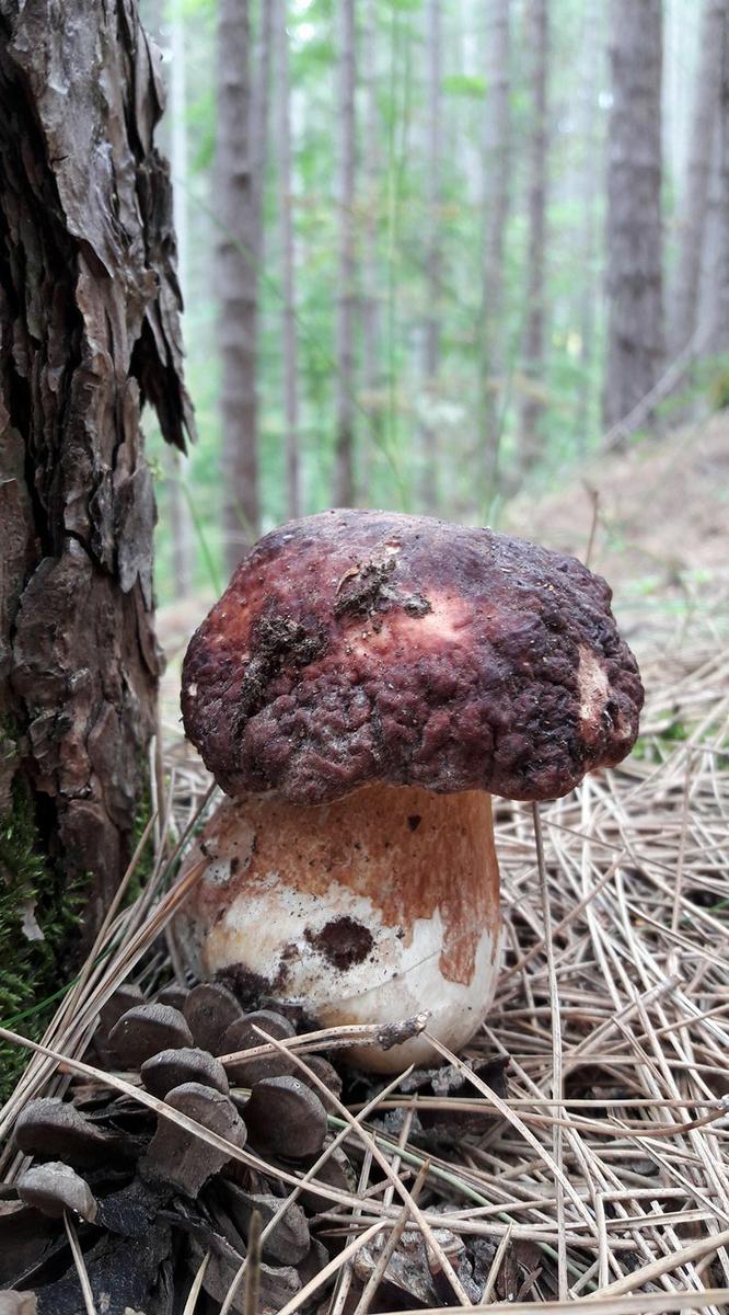 2861. 20616978_10209097763872538_6416496170657230139_o