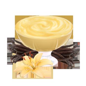 Resultado de imagen de vainilla