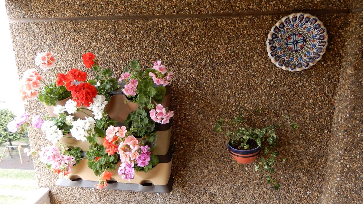 2 IDEAS PARA CREAR TU PROPIO JARDÍN VERTICAL (para exterior e interior