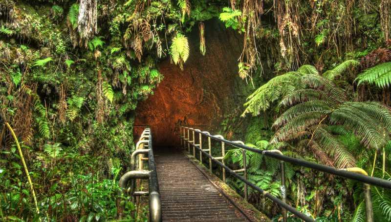 entrada turston lava tube en parque nacional de los volcanes