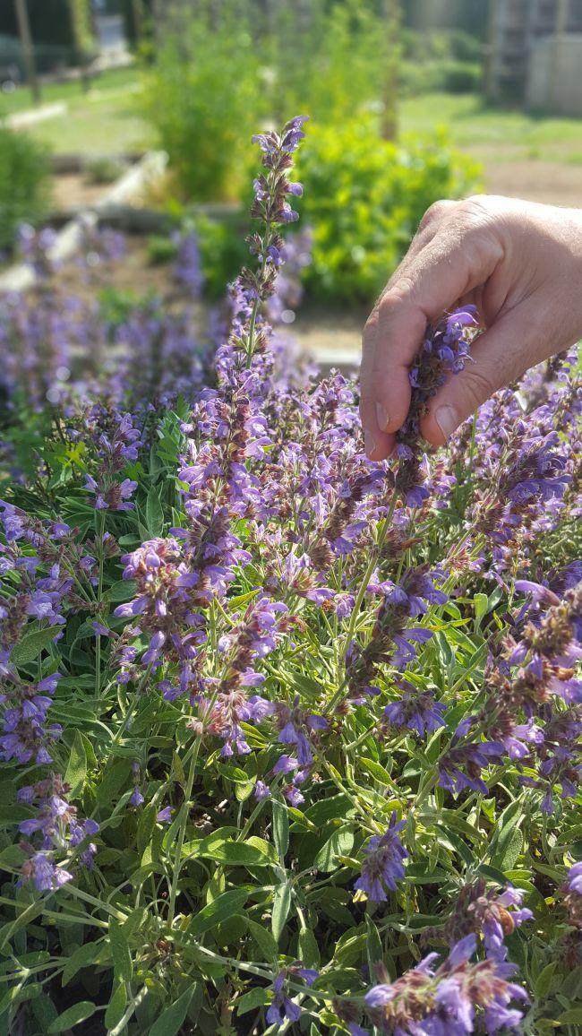 la-malcontenta-un-hotel-con-encanto