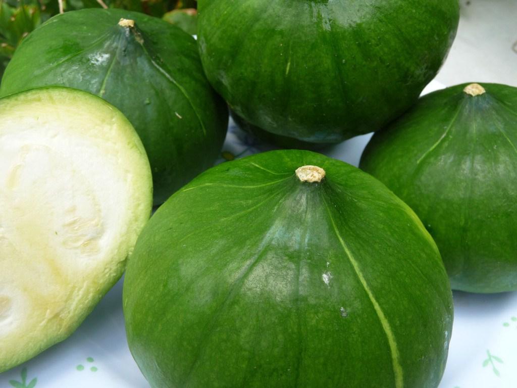 zapallitos