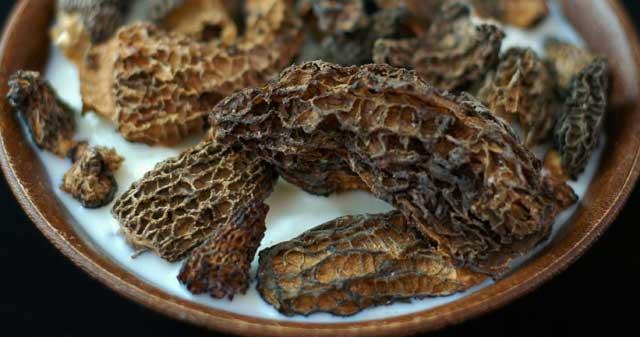 crema de colmenillas