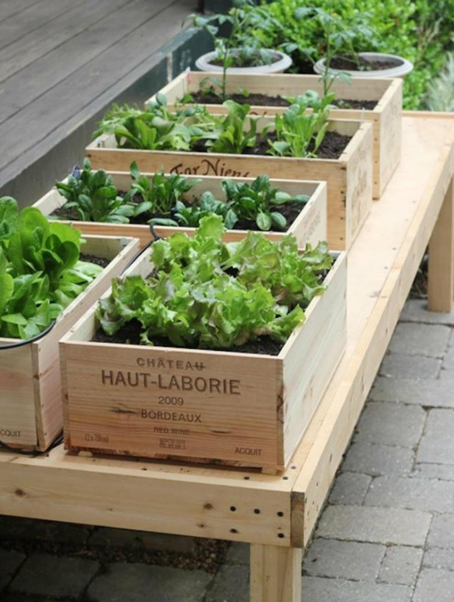 Consejos para montar un minihuerto urbano en tu terraza: ideas para  cultivar en la ciudad y