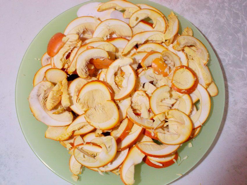 amanita-caesarea-casa-de-las-setas9