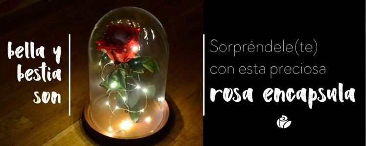 rosa encantada la bella y la bestia