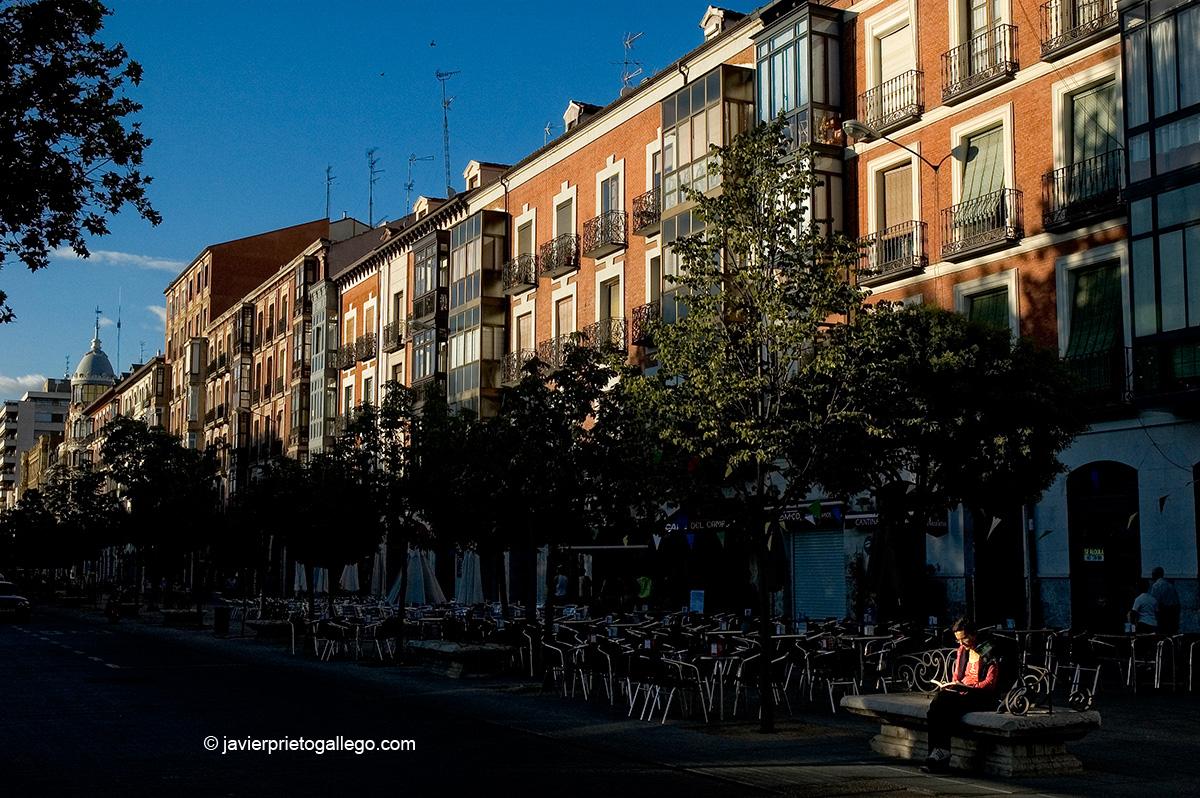 Una mujer lee en un banco de la Acera de Recoletos. Edificios del siglo XIX. Valladolid. Castilla y León. España. © Javier Prieto Gallego