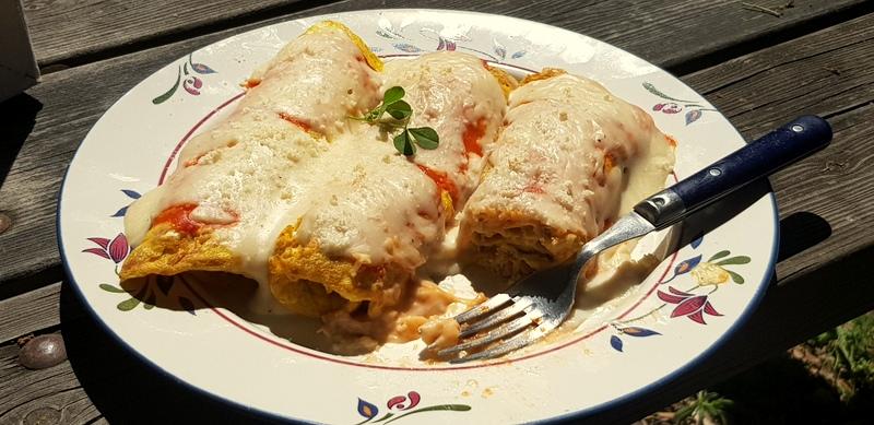 Tortilla de atun con salsa bechamel 