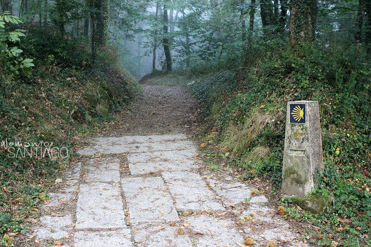 Sendero Camino de Santiago