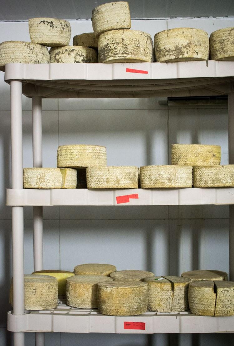 Quesos casa de piedra, quesos mexicanos de leche de oveja | Revista Maria Orsini