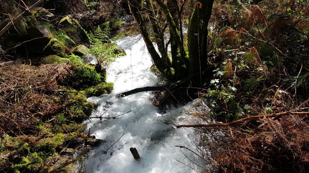 El agua desciende con fuerza por la pendiente del Monte Xiabre.