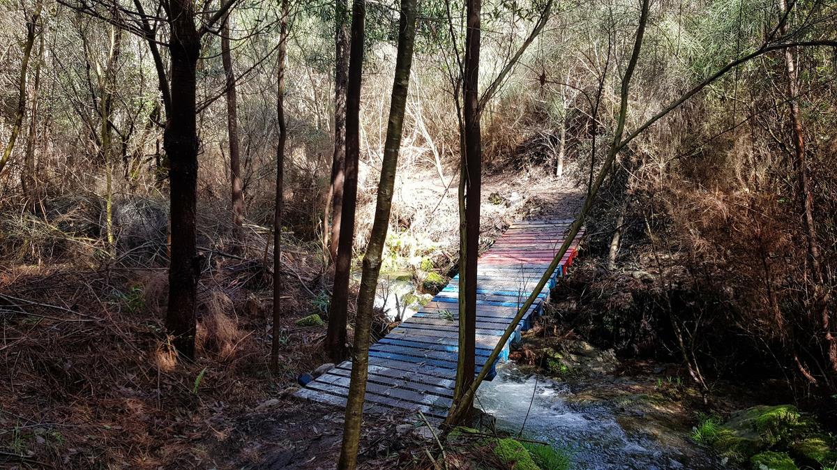 Segundo puente de la ruta.