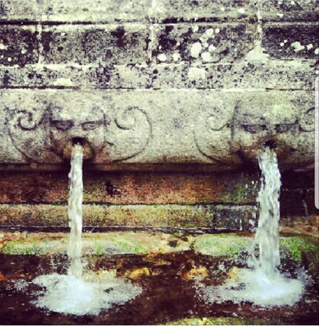 Fuente de Castrogudín.