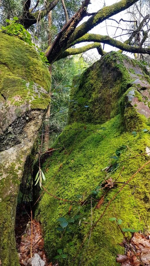 Elementos que encontramos durante la ruta.