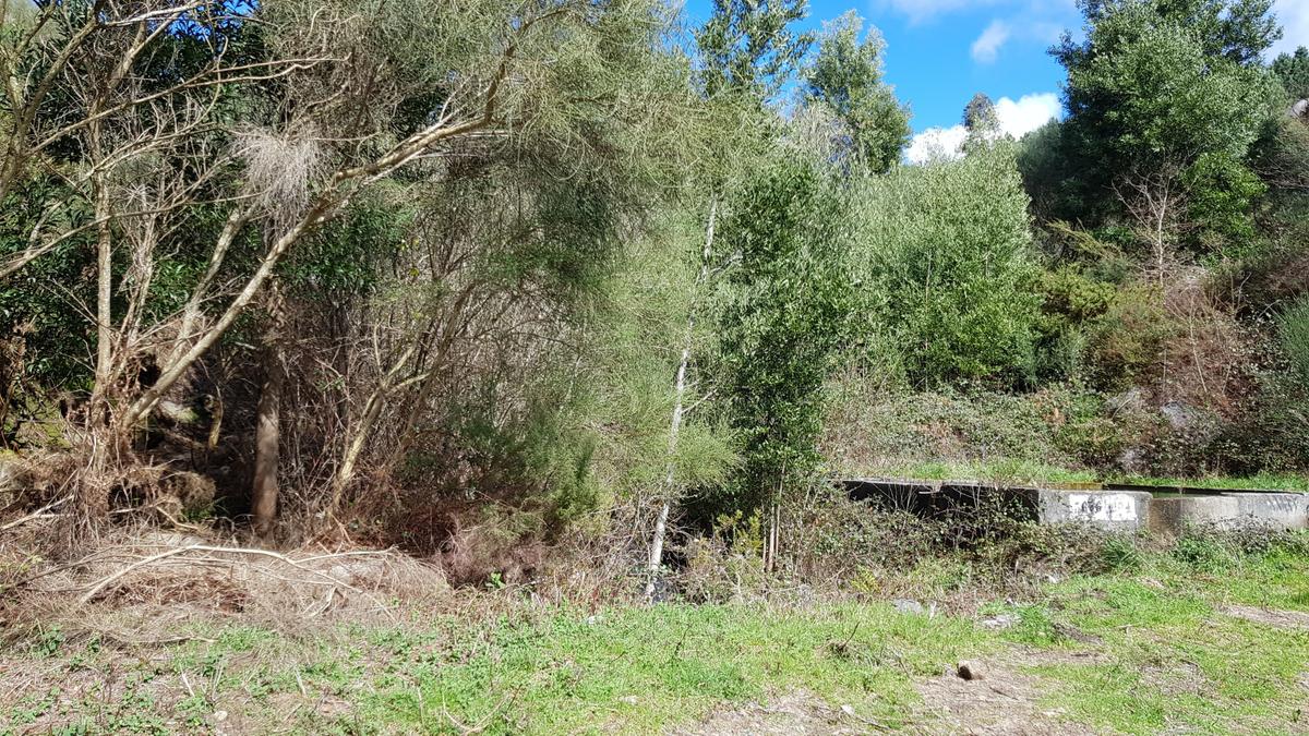 En la ruta nos cruzamos con un camino forestal. Allí se encuentra un bebedero para los animales que viven en Xiabre.
