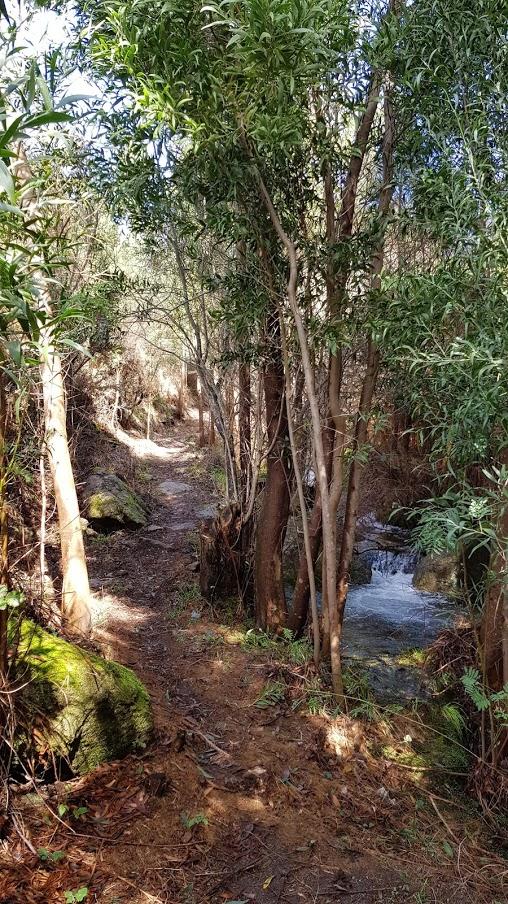 Camino al lado del río.