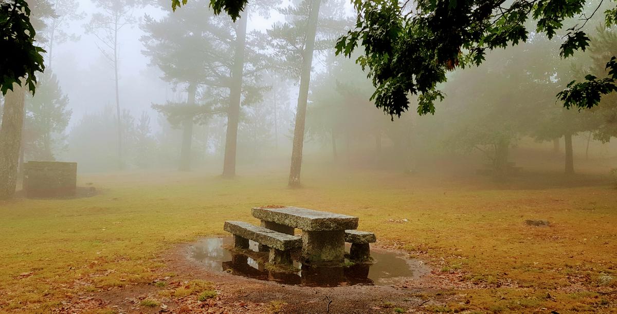 Esta foto fue tomada en otra ocasión que subimos a Fontefría, que estaba todo cubierto de niebla, creando un paisaje de lo más tenebroso y pintoresco.
