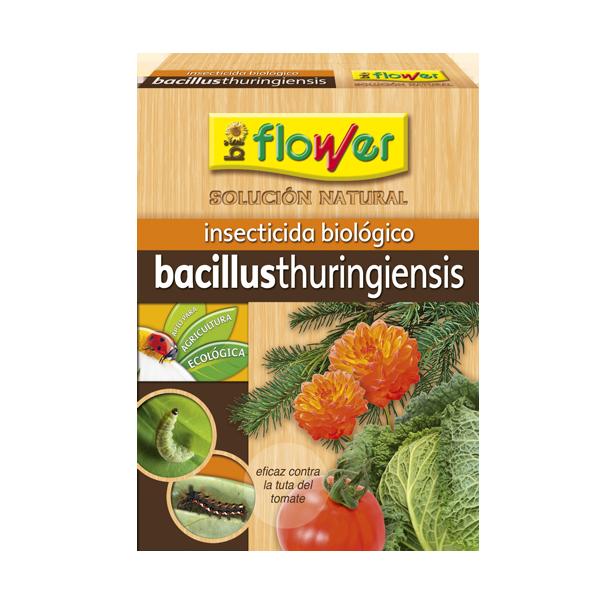 Bacillus thuringiensis