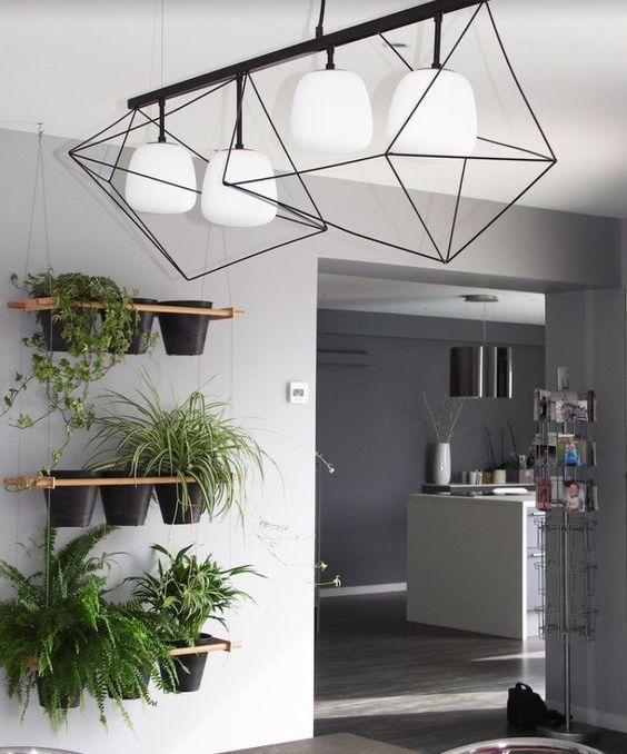 plantas colgantes para dummies en la cocina. Design by Architk.com