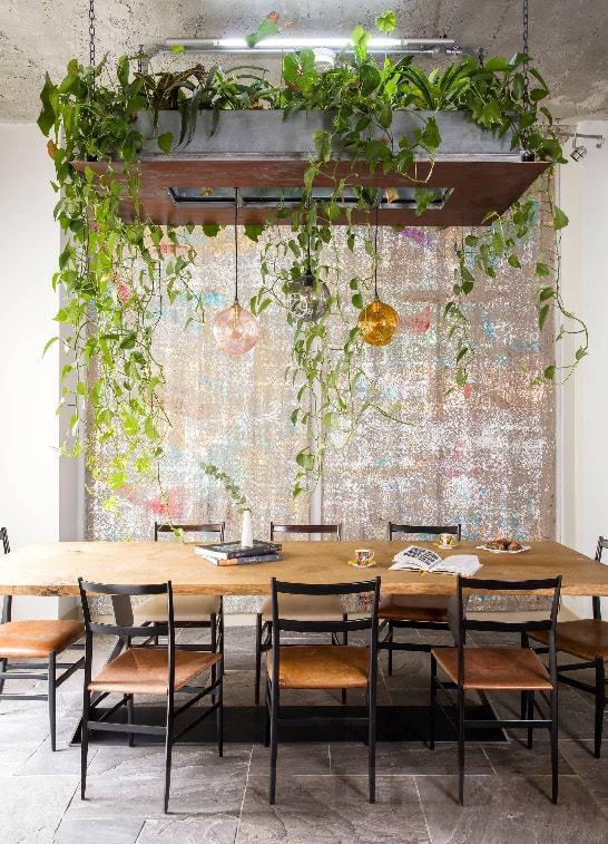 plantas colgantes para dummies sobre la mesa del comedor