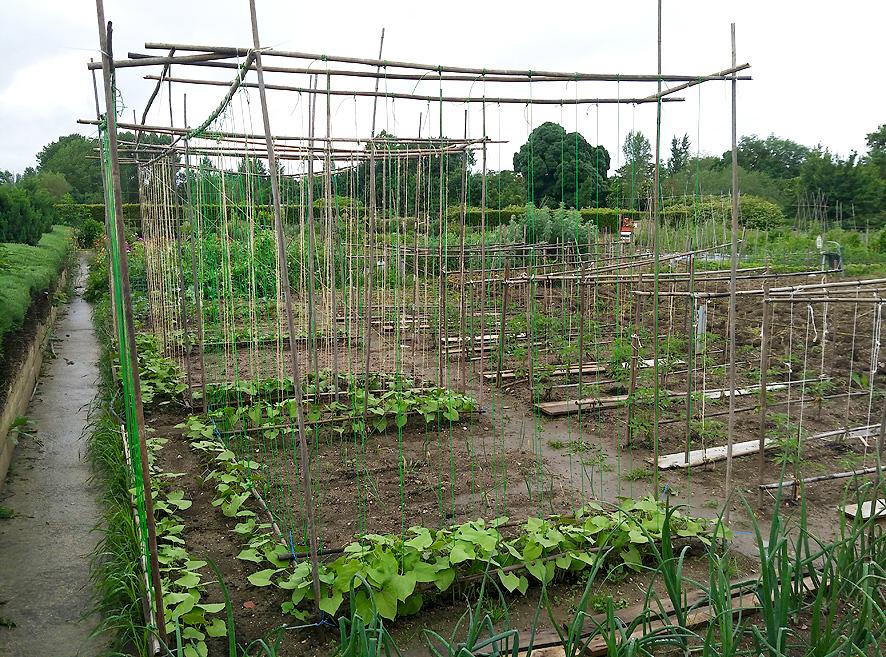Huertos urbanos en Vitoria