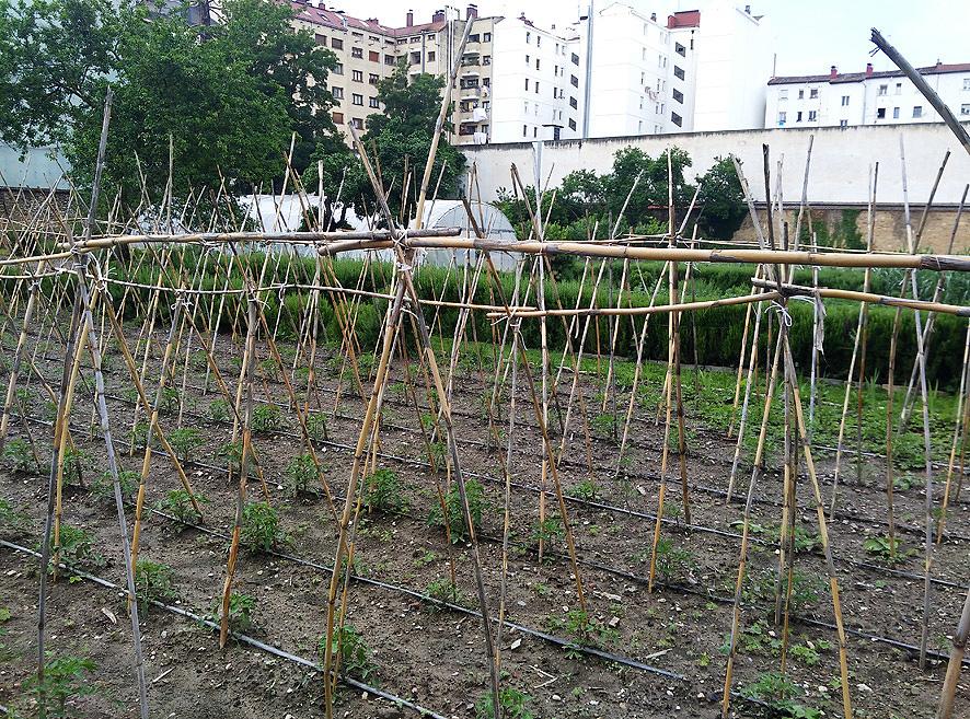 Huerto del Convento de Las Brígidas