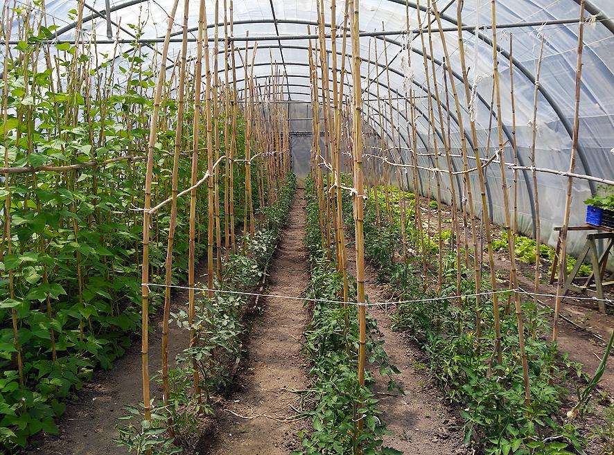 Huerto del Convento de Las Brígidas