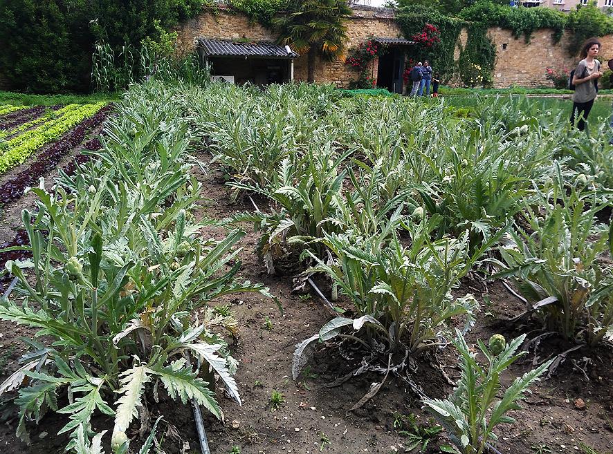 Huerto del Convento de Las Brígidas